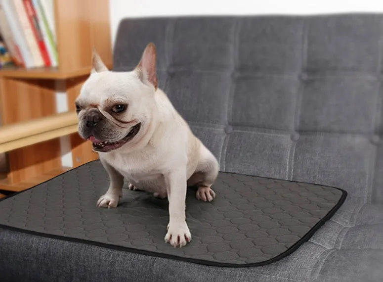 Reusable dog urine pad with non-slip TPU bottom, gray, in L size 100x67x4.5cm