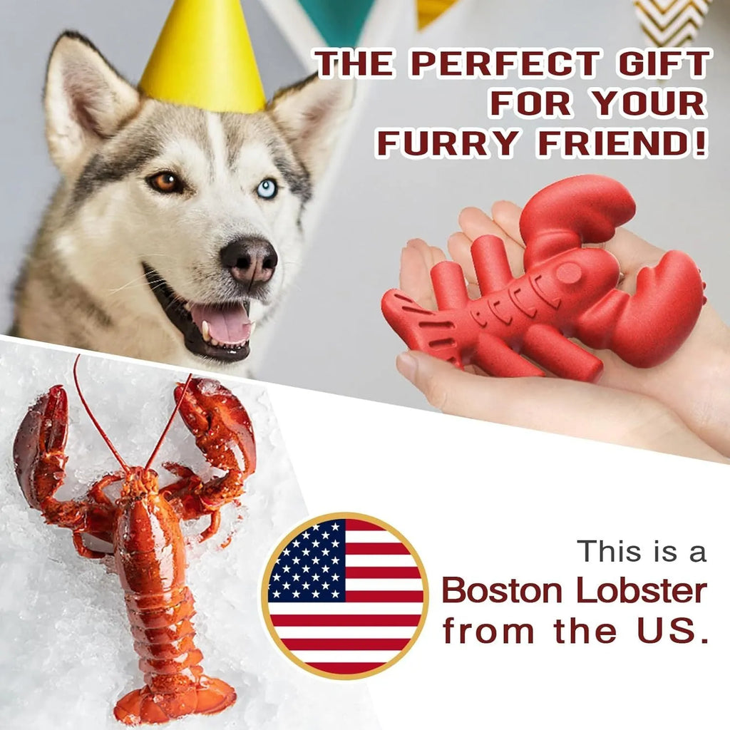 Red durable chew toy for large dogs, shown with dimensions for scale.