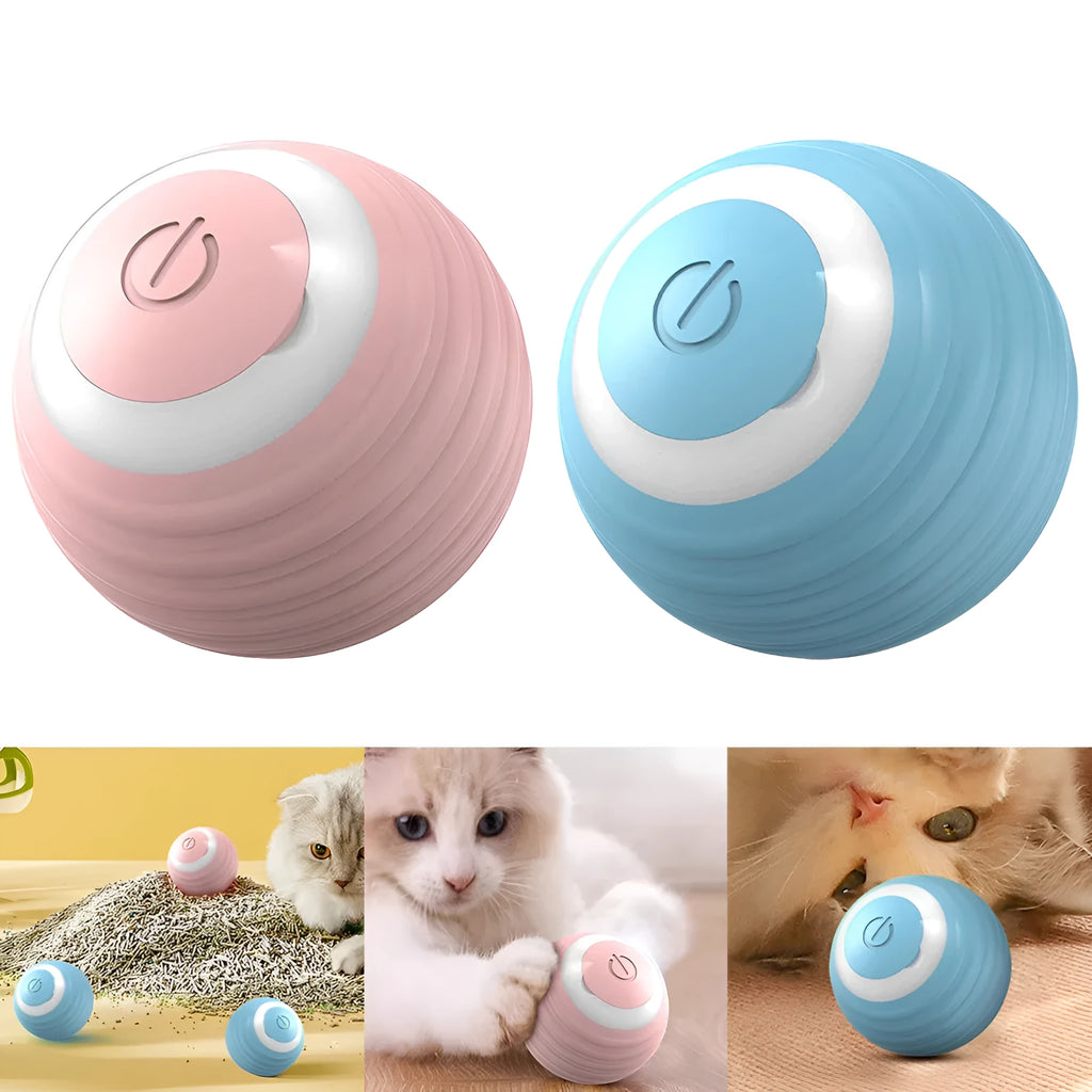 Blue automatic moving cat toy ball with silicone construction for indoor feline play