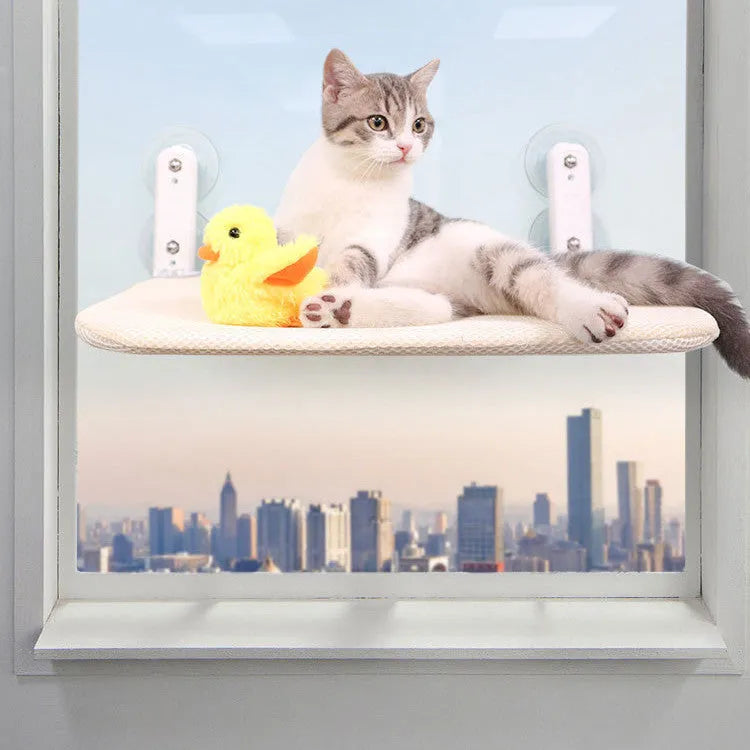 Foldable cat hammock with stainless steel suction cups mounted on a window, available in mesh or plush fabrics.