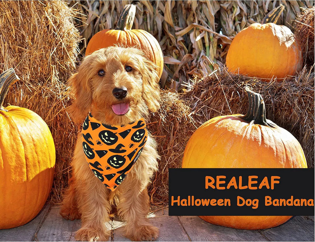 Reversible black and orange Halloween dog bandana with pumpkin and spider web patterns laid flat