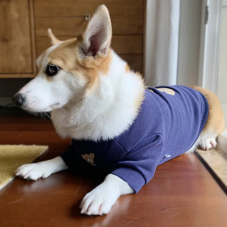 Cotton knitted pet sweater in white, pullover style, available in sizes SM to 3XL