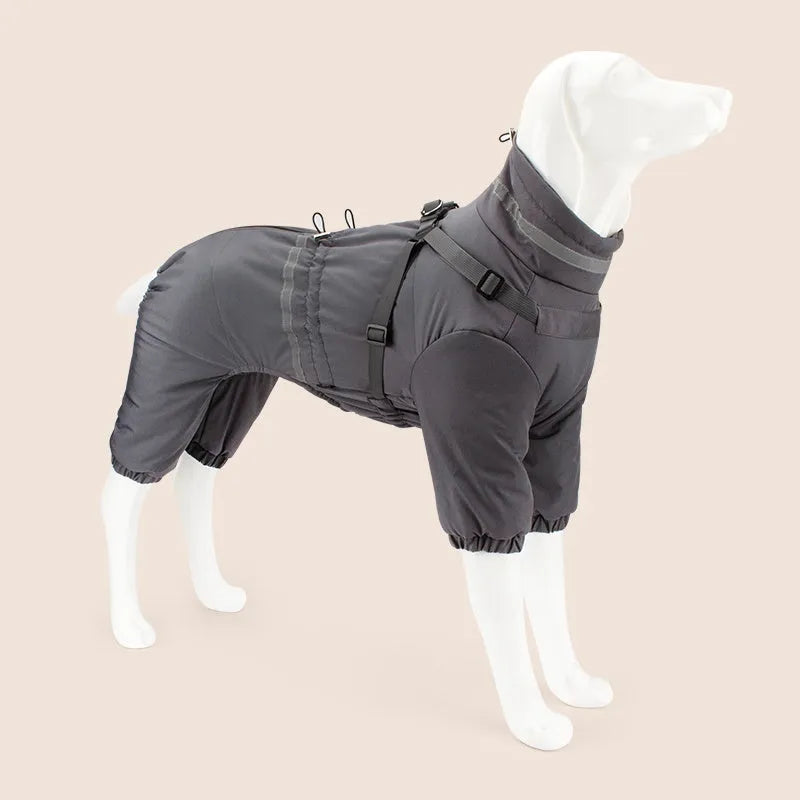 Four-leg dog cotton-padded jacket in Oxford fabric, khaki colour, worn on a dog, size M, for winter warmth