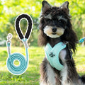Polyester dog vest and matching hand holding rope leash set in blue, green, pink, or yellow.