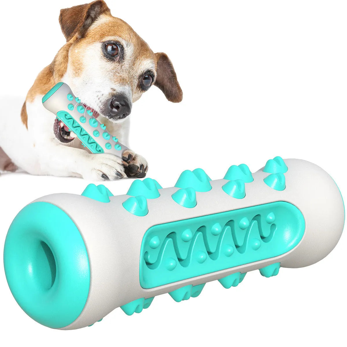 A 15cm long natural rubber dog toothbrush chew toy in assorted colours.