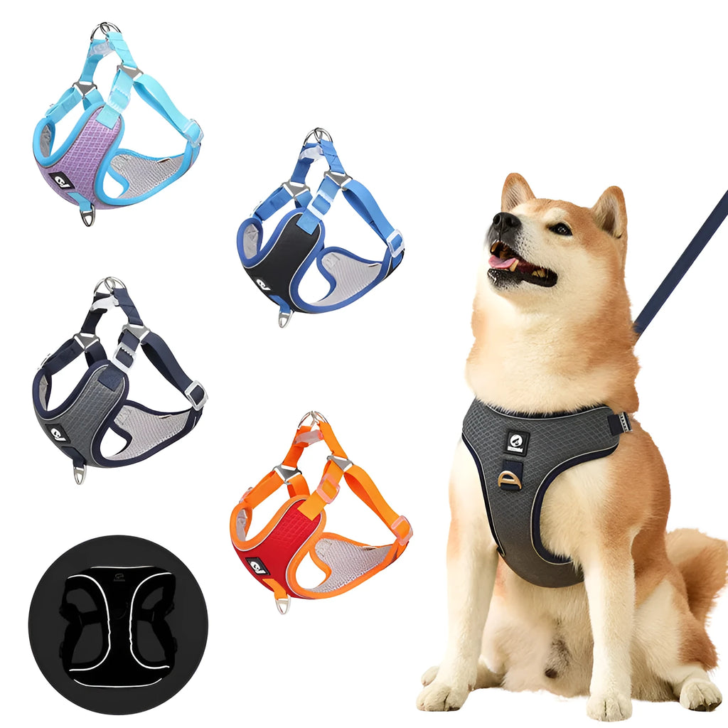 Adjustable breathable dog harness with reflective piping in black, red, grey, or light purple colour options
