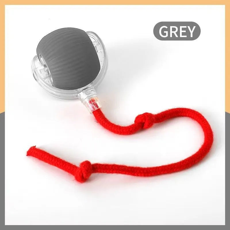 Silicone self-moving rolling ball cat toy in green, red, and grey colour options.