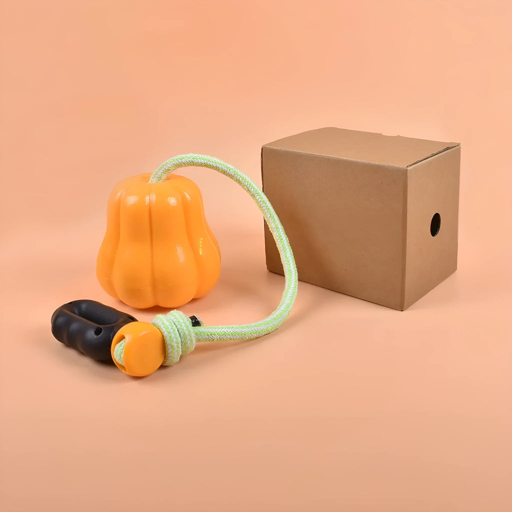 Orange plastic pumpkin-shaped dog toy with rope attached for throwing
