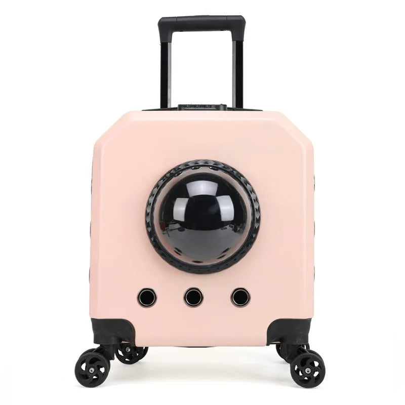 Hard-shell PVC pet flight trolley case for cats, shown in orange with wheels.