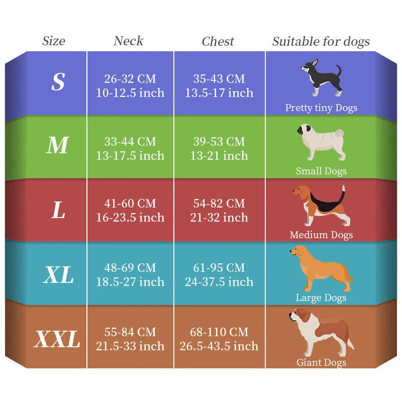 Seven-colour luminous dog lead with charging cable in nylon construction showing size options