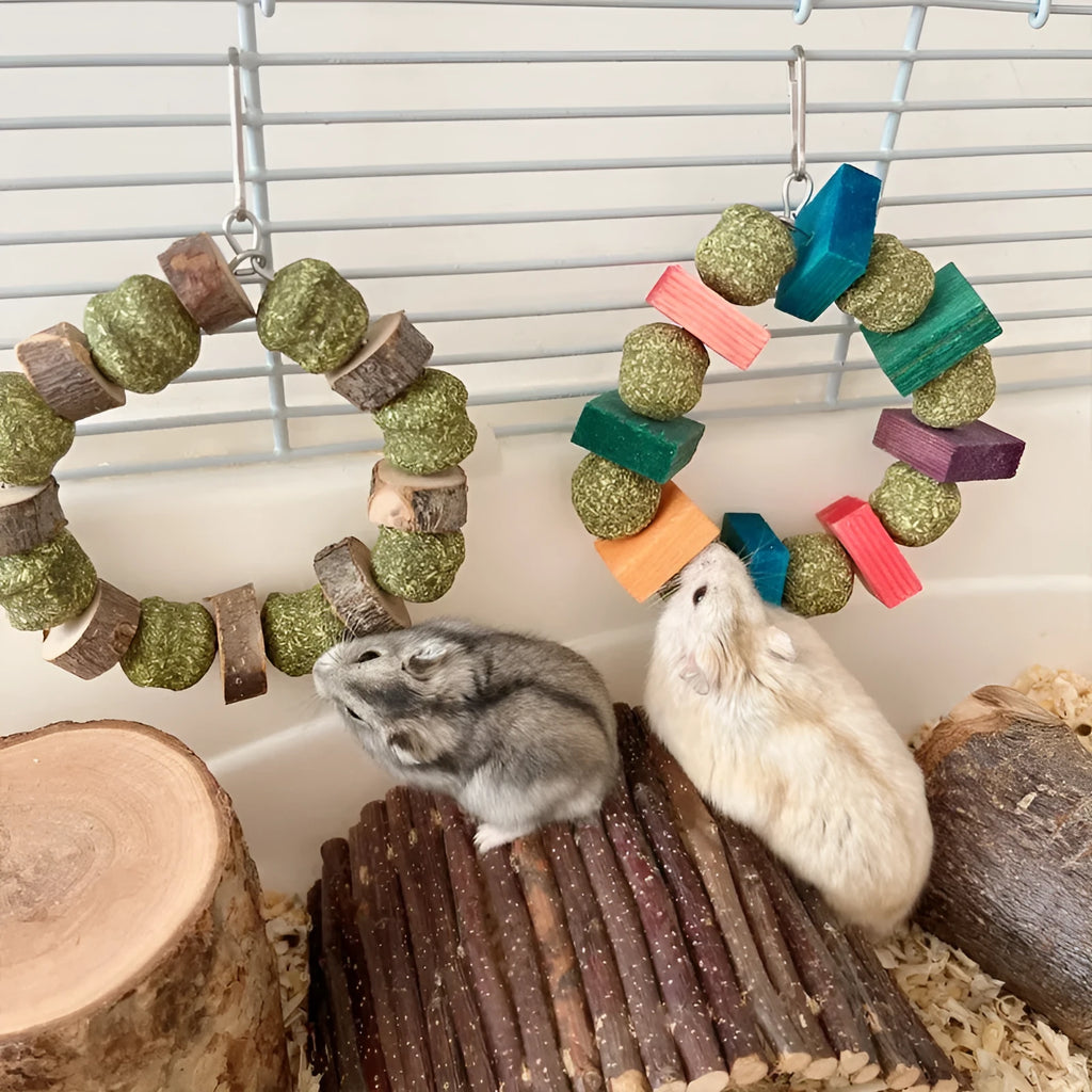 Hamster chew toy with colourful straw balls on ring and applewood molar rod