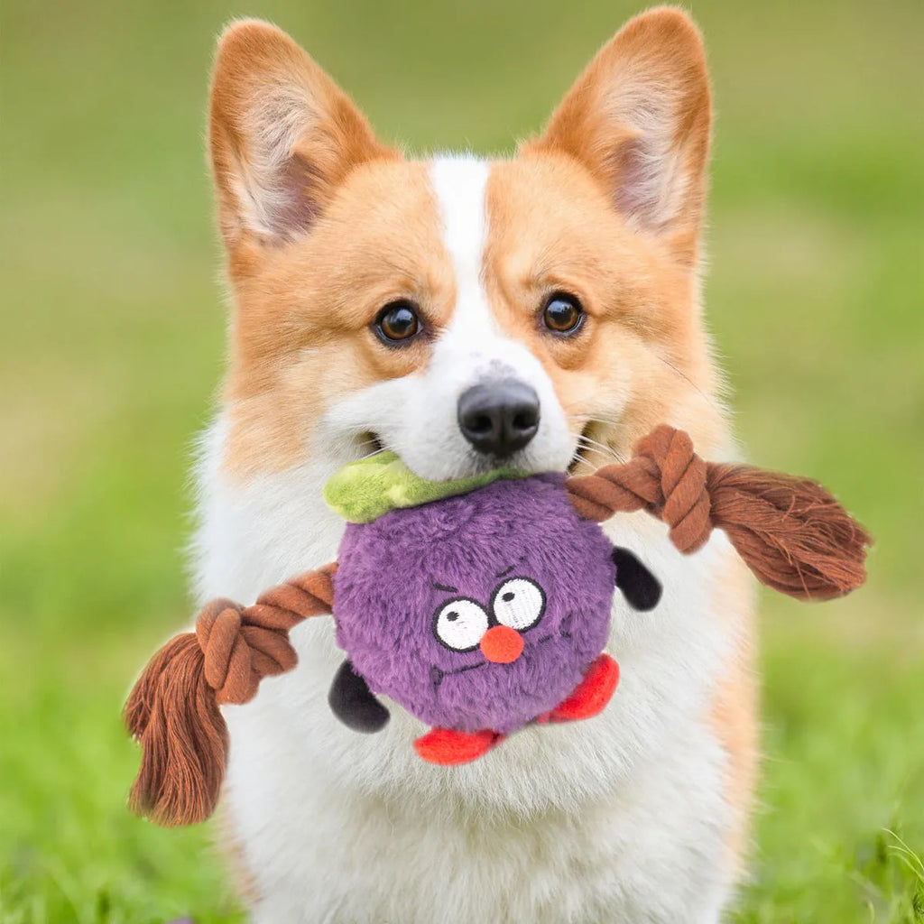 Green interactive plush rope knot dog toy shaped like a bb with molar tooth texture for tug of war.