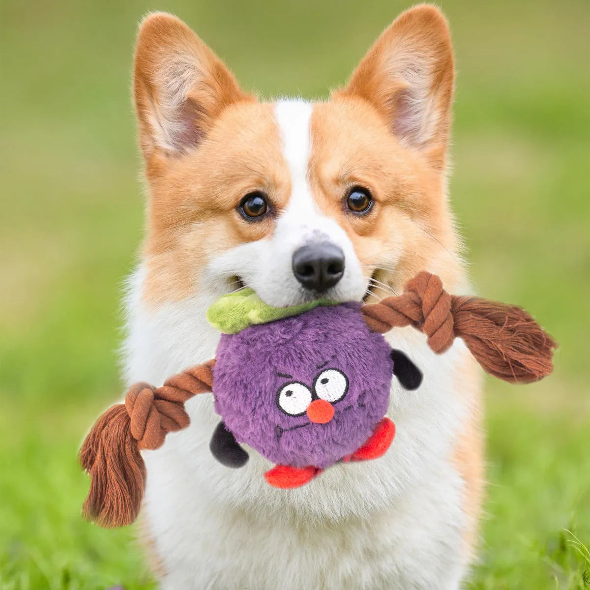 Green interactive plush rope knot dog toy shaped like a bb with molar tooth texture for tug of war.