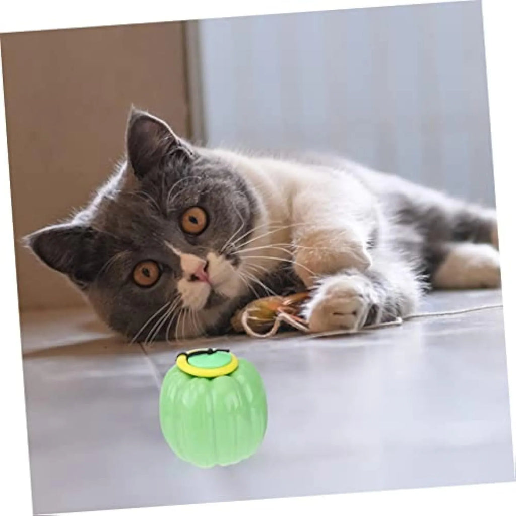 Green, orange, and yellow plastic pumpkin dog chew toy with squeaker for small dogs.
