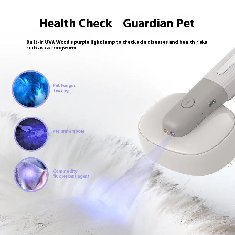 Pet comb for cats and dogs with negative ion, floating hair, electric massage, USB charging, ABS plastic
