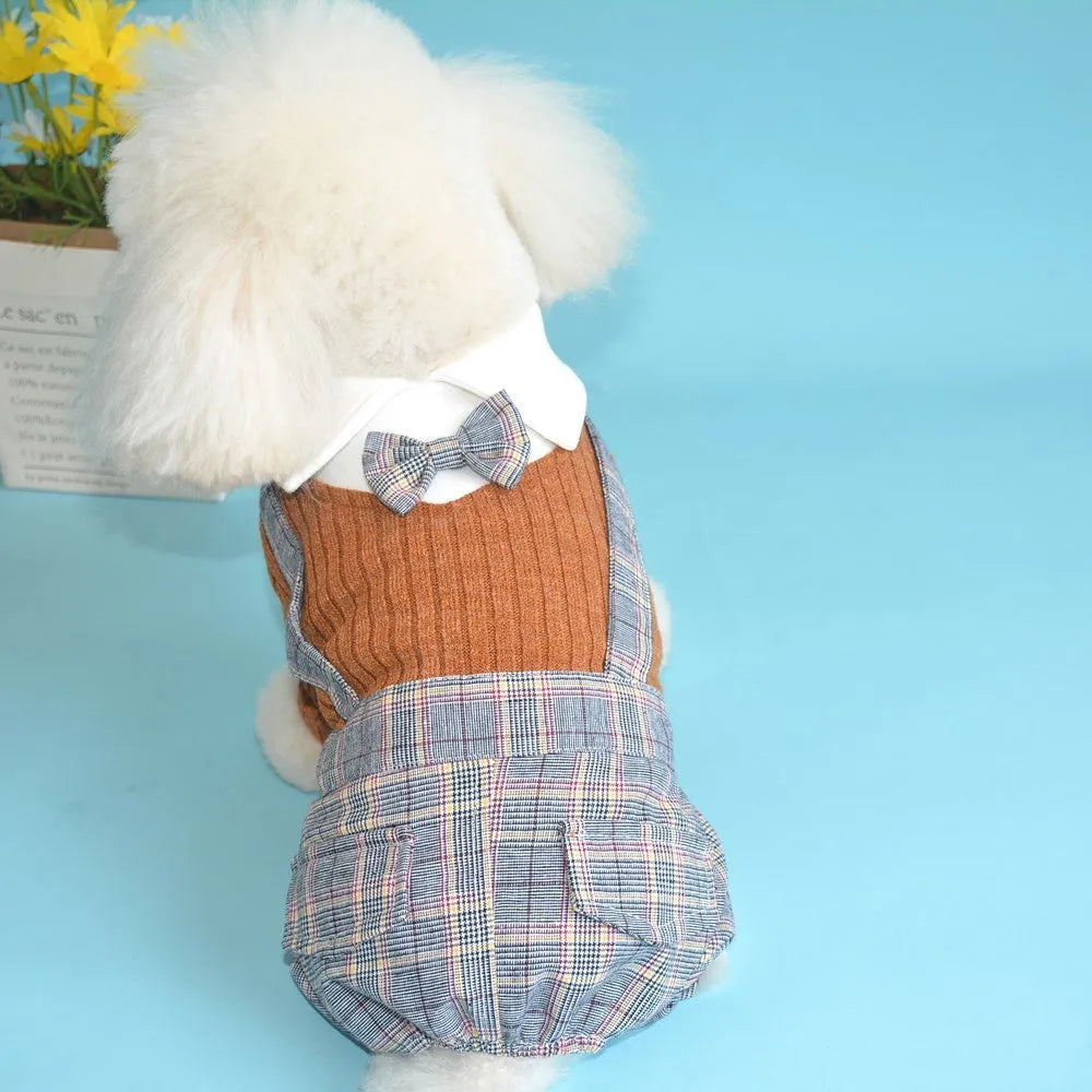 Orange and dark blue cotton dog shirt suit for small dogs, available in sizes S to 2XL.