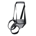 Grey neoprene dog rear leg recovery belt showing waist and thigh support areas