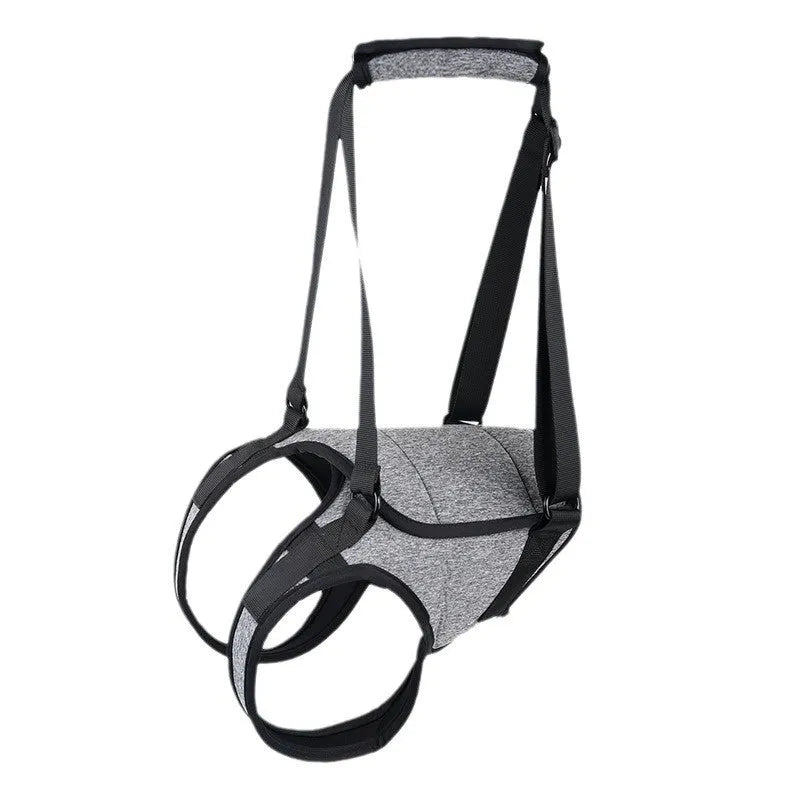 Grey neoprene dog rear leg recovery belt showing waist and thigh support areas