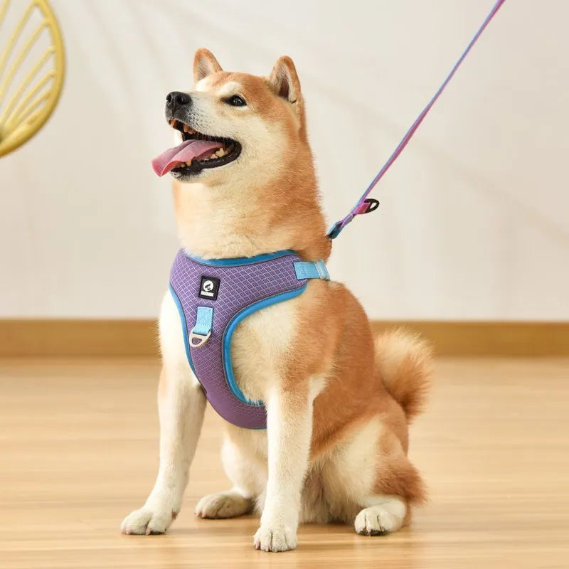 Adjustable breathable dog harness with reflective piping in black, red, grey, or light purple colour options