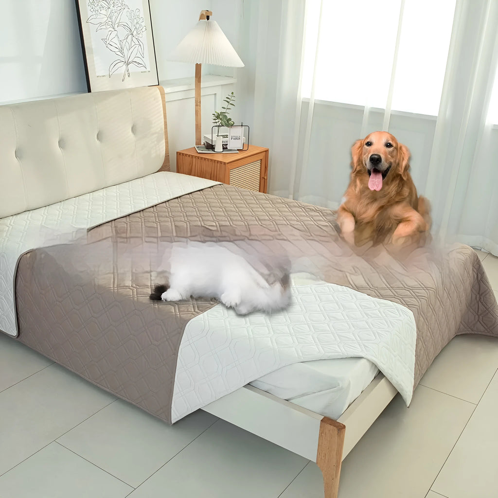 Double-sided waterproof dog sofa cushion in dark grey light grey or khaki beige, shown in various sizes on furniture.