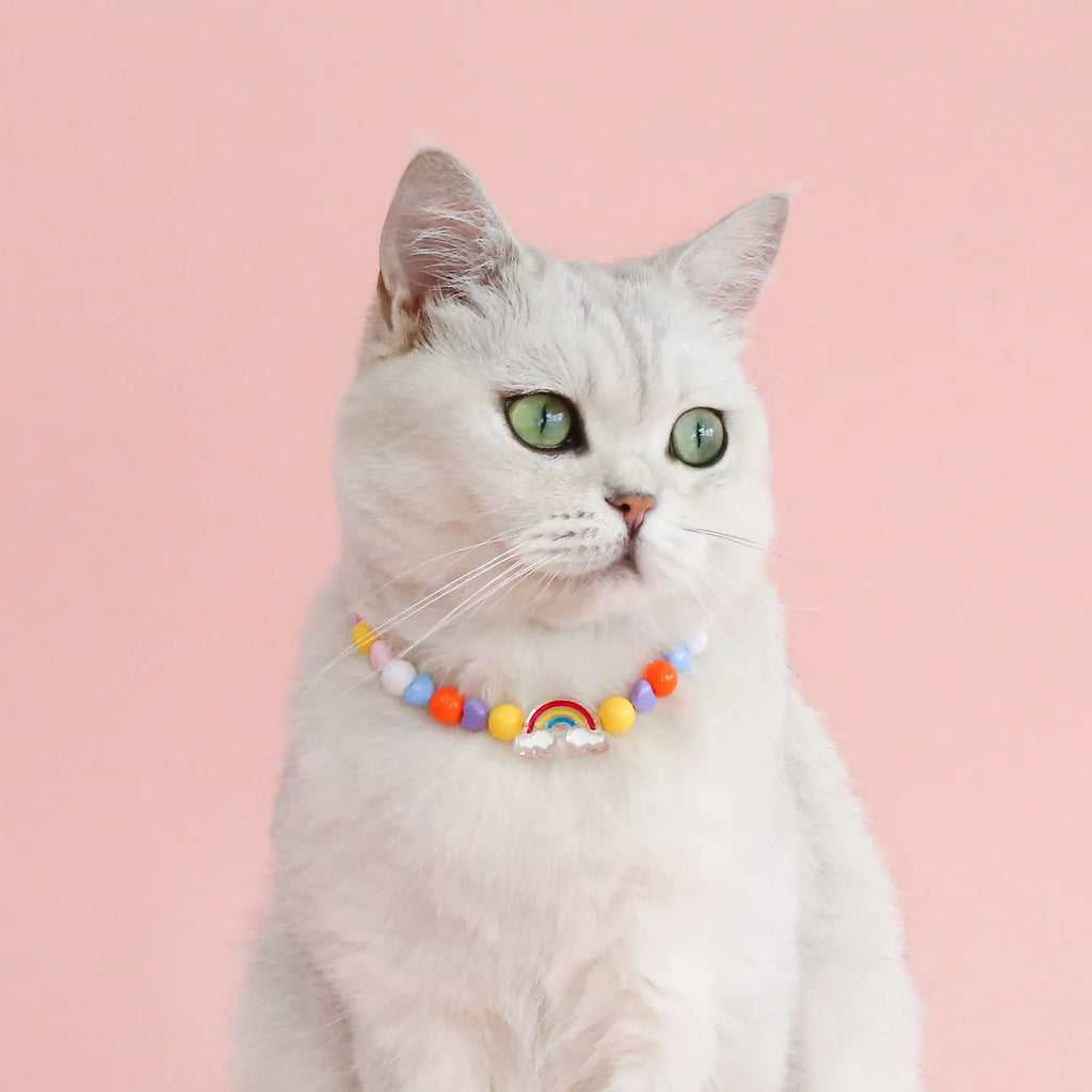 Colourful plastic bead necklace for small pets in rainbow, peach, or small flower patterns with adjustable sizing