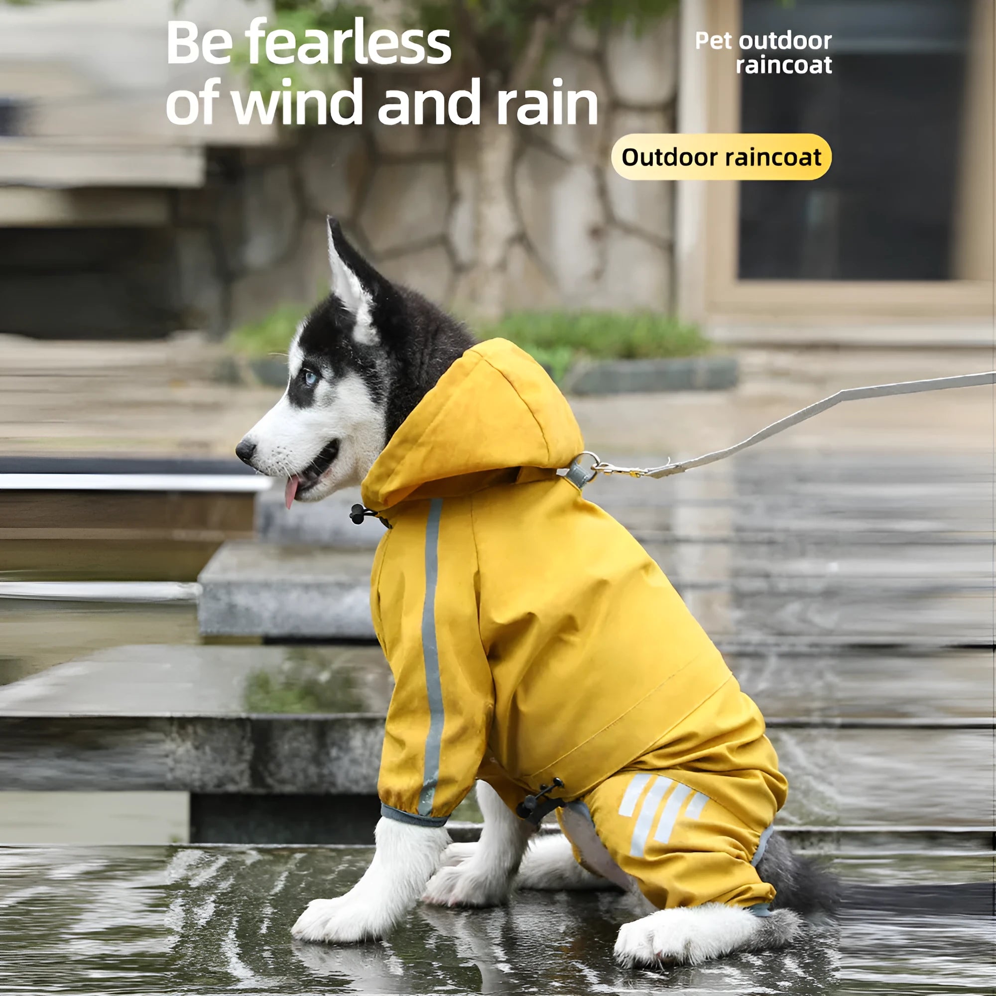 Waterproof dog raincoat with reflective strips, hood, and four-leg design for small medium dogs