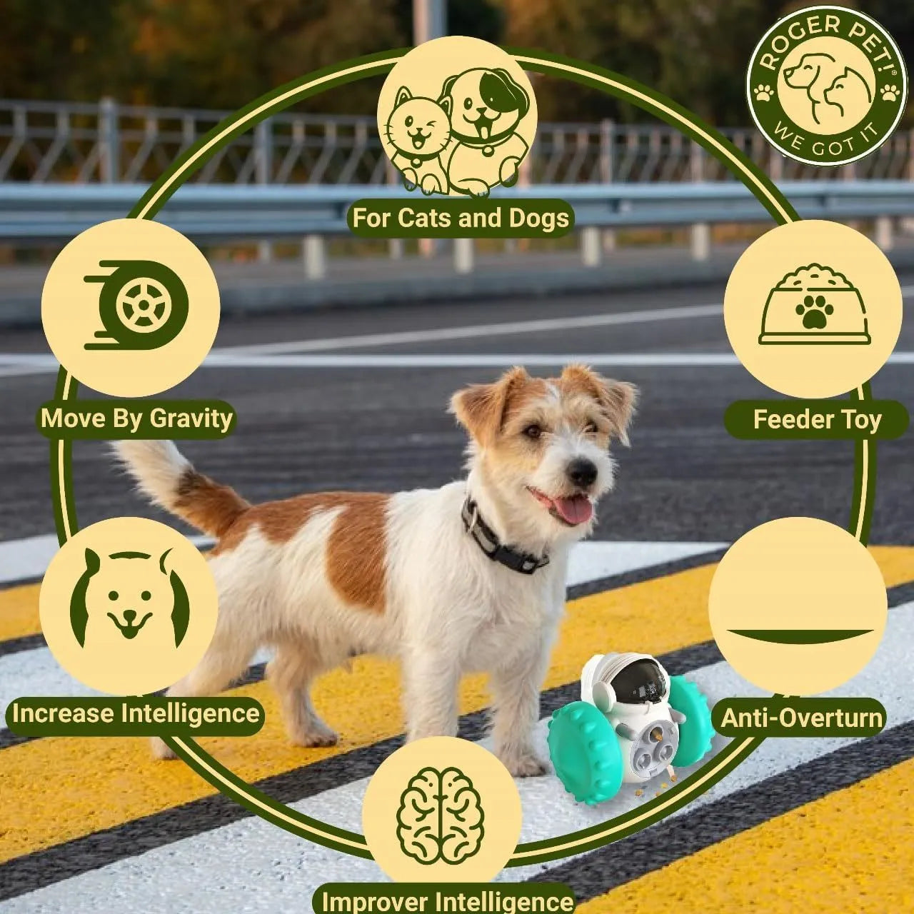 Self-balancing roller dog treat puzzle toy for small dogs and cats in assorted colours.