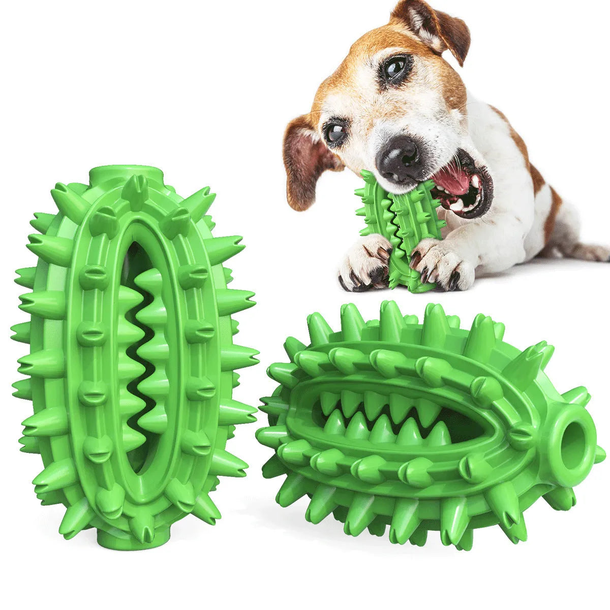 Green cactus-shaped dog toothbrush toy with textured bumps for dental cleaning
