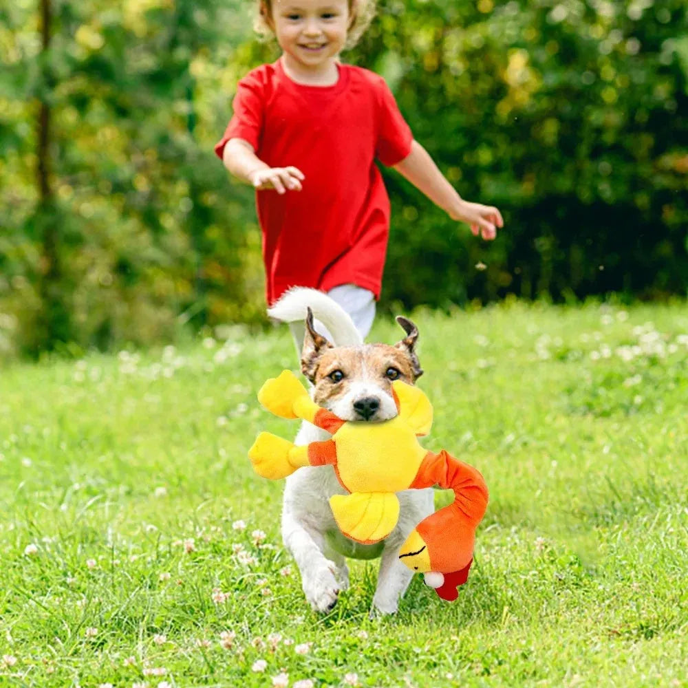 Green squeaky dog toy shaped like a chicken with bite resistant chew texture