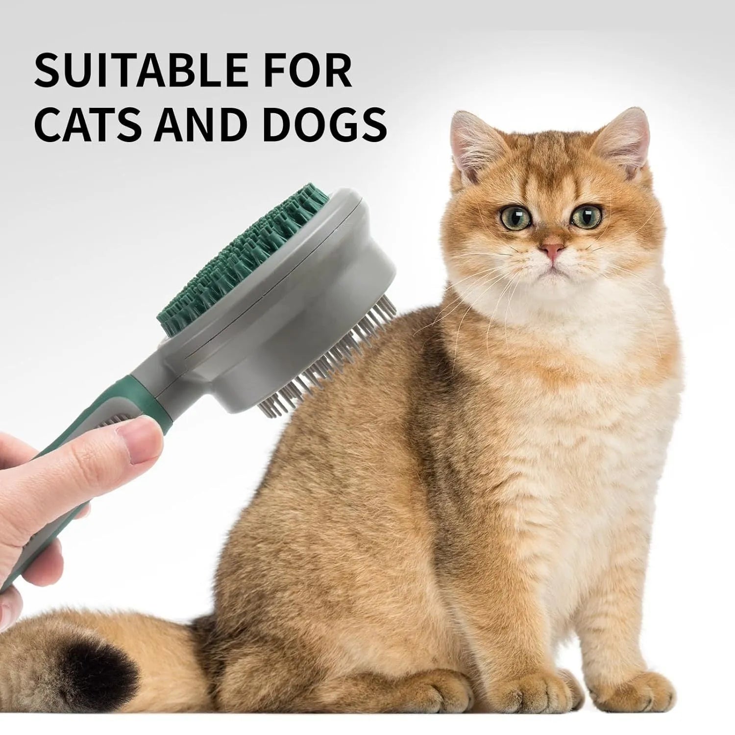Two-sided silicone cat brush with green handle, showing slicker brush and massage sides