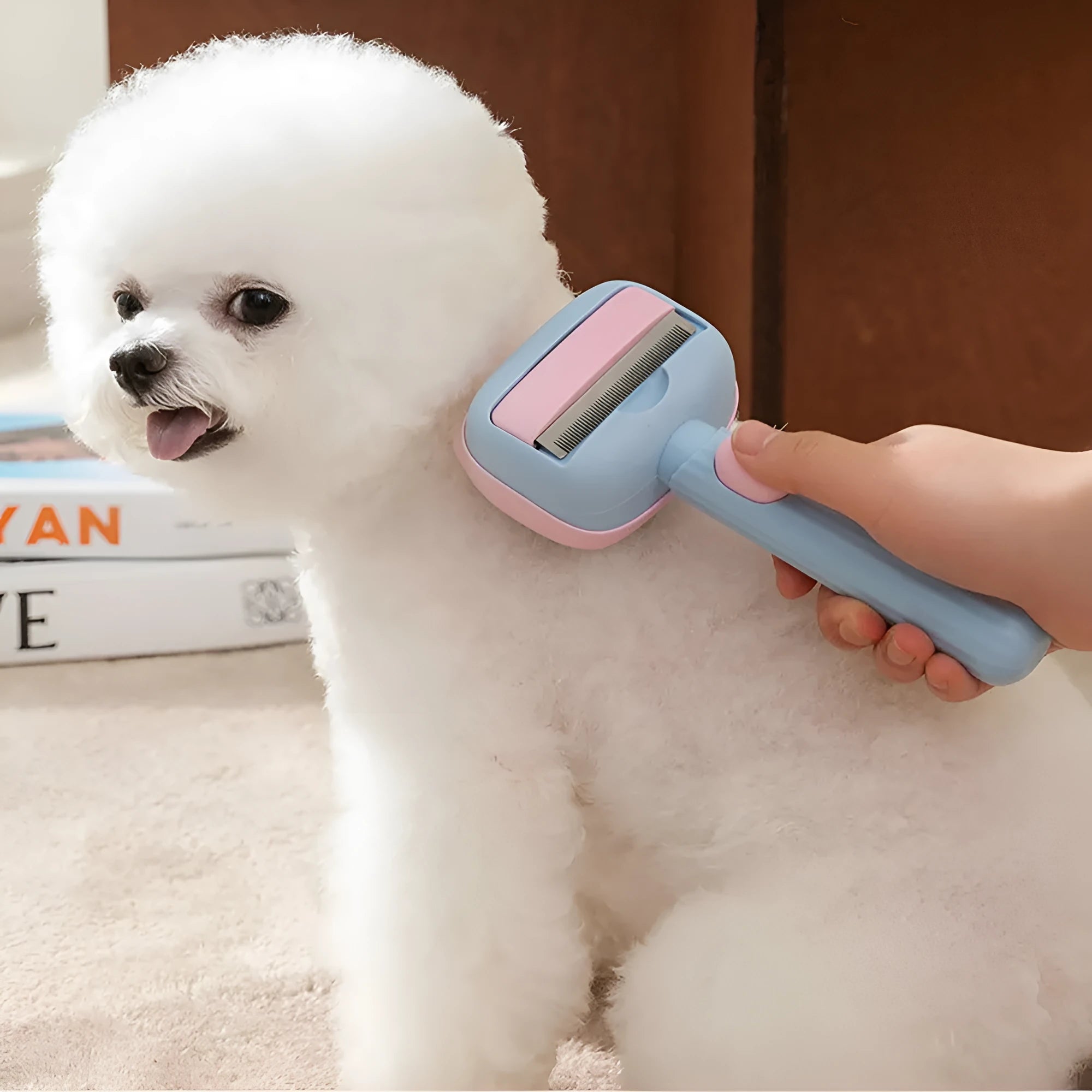 Red and blue pet grooming brush with double-sided deshedding comb for dogs and cats