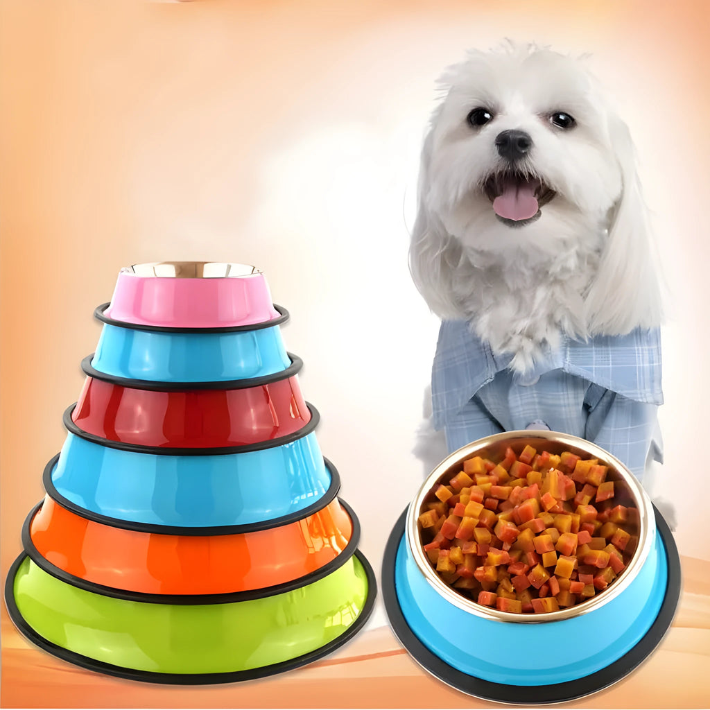 Stainless steel pet bowl with colourful melamine outer pot showing non-slip rubber base