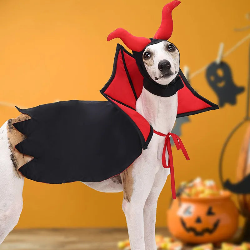 Black vampire cloak and hat Halloween costume for small pets on a dog or cat