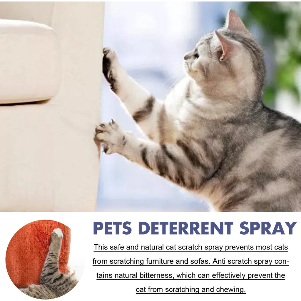 50ml pet training spray bottle in box for dogs and cats scratching doors and sofas