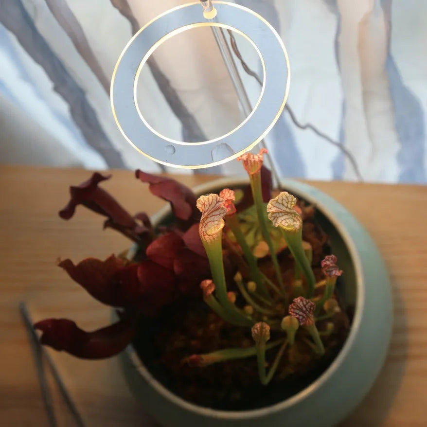 USB LED grow light with acrylic stick for indoor plant growth lighting