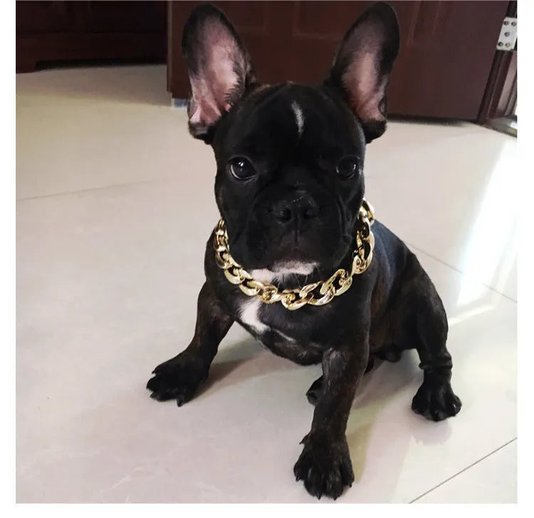 Geometric twisted chain dog collar in metallic colours showing adjustable buckle and chain links