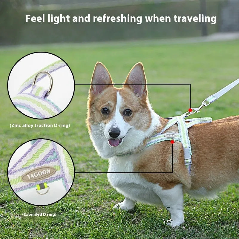Y-style dog harness and matching 1.4 metre traction rope in coral orange for dogs 2kg to 17.5kg