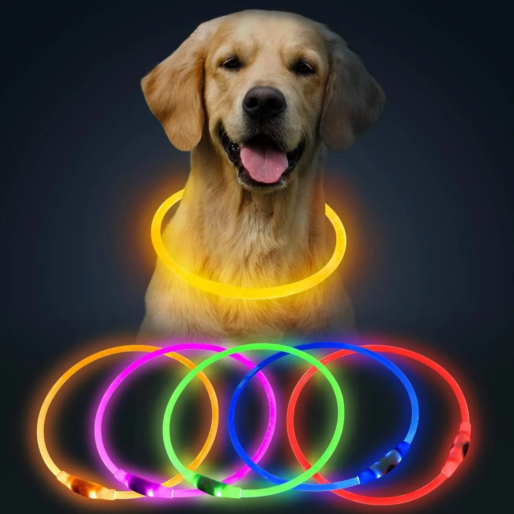 USB rechargeable LED dog safety collar with glowing light, adjustable 70cm TPU strap
