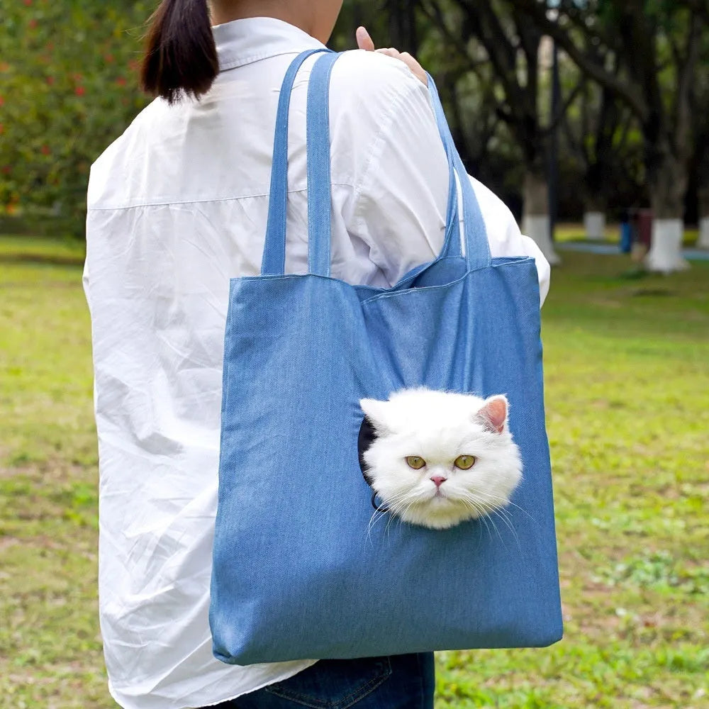 Canvas pet carrier backpack with cartoon design for cat and small dog transport