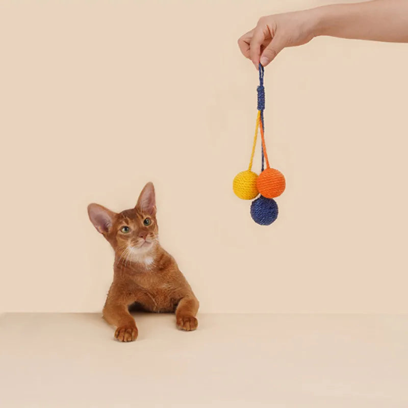 Cat toy set with teaser stick and coloured catnip balls on white background