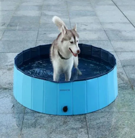 Foldable blue dog swimming pool with thickened PVC material and quick drain valve, set up on grass
