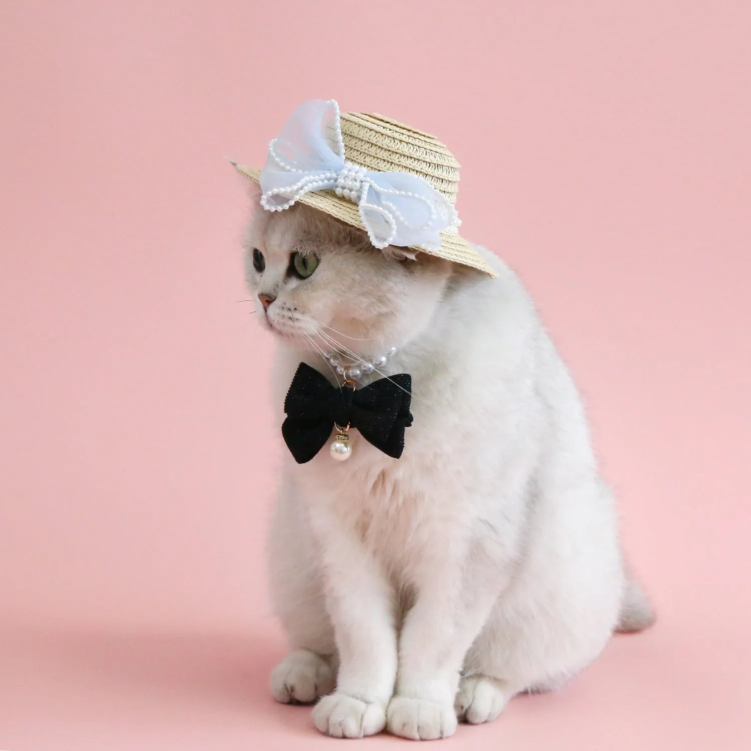 Cat wearing a woven straw hat with a pearl bow decoration in a princess style.