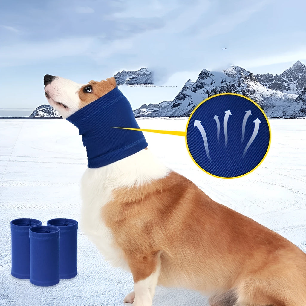 Blue polyester dog headband scarf showing casual style design for pet comfort