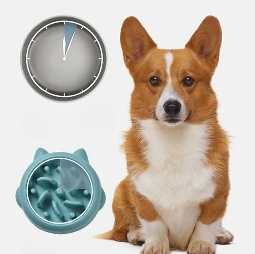 Green pet slow feeder bowl with raised bone-shaped obstacles inside to slow down eating.