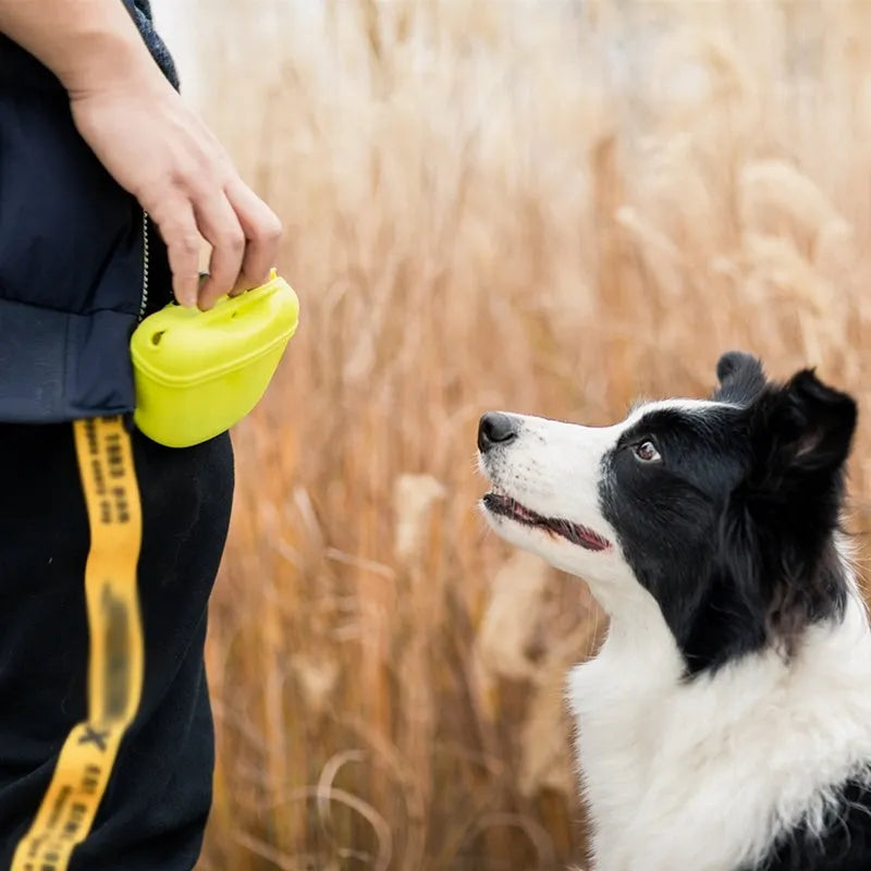 Silicone dog training waist bag with clip and magnet closure in multiple colour options