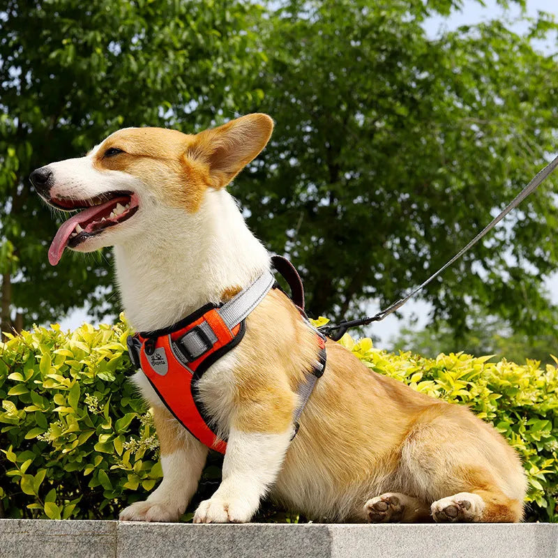 Polyester dog vest harness with chest strap and hand holding rope attachment in various colours