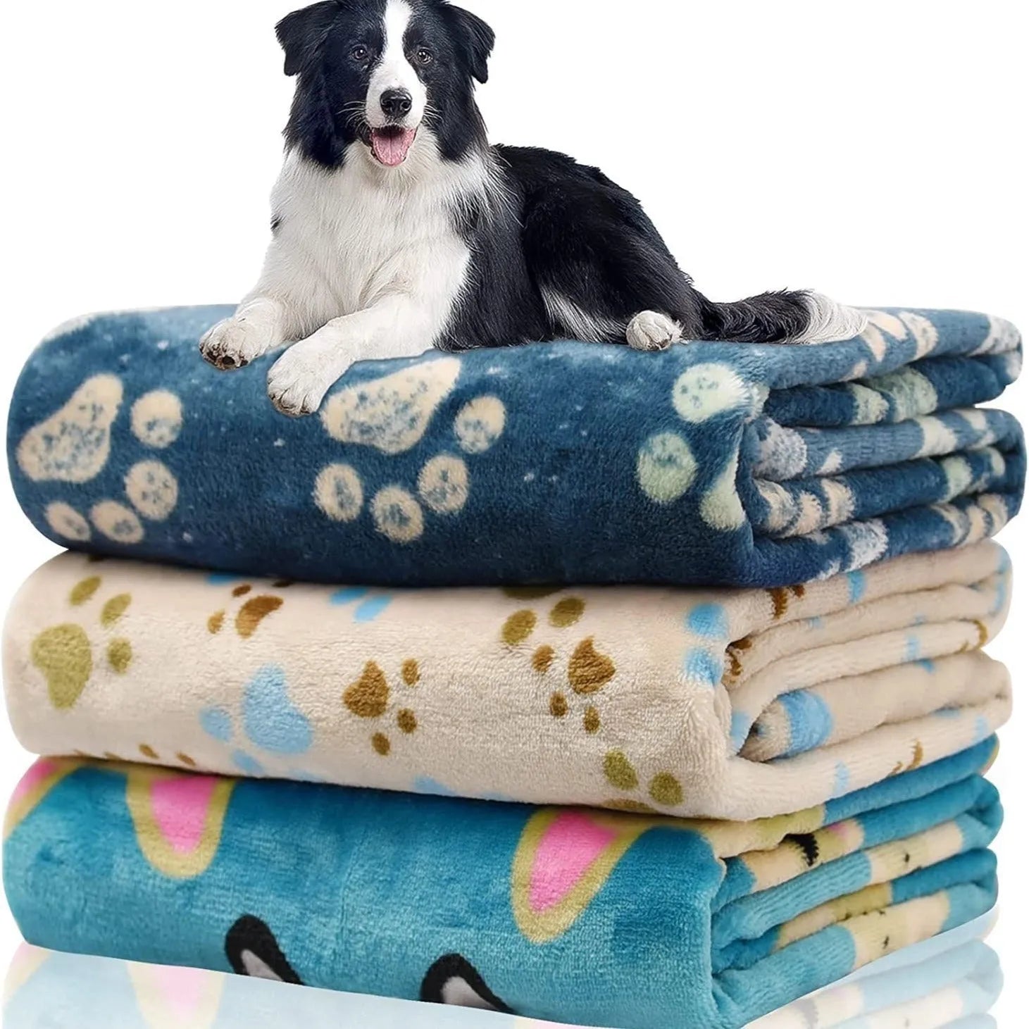 Blue dog cartoon pattern pet blanket showing double-sided flannel texture and size options