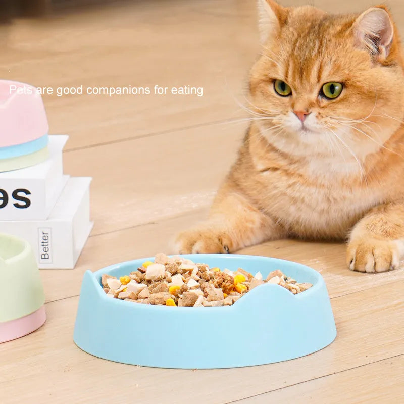 Ceramic dog slow feeder bowl in blue, green, or pink with puzzle maze design for large or small dogs