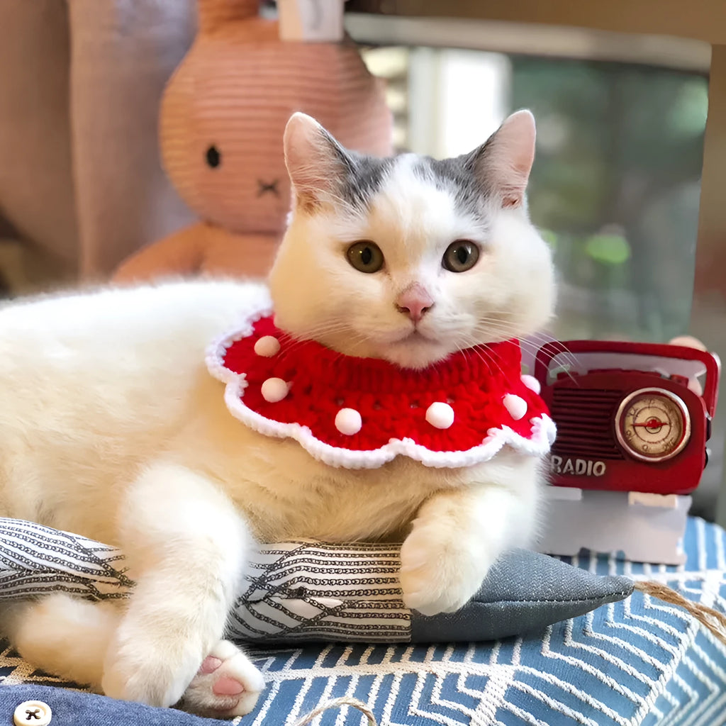 Cartoon-patterned wool knitted collar for small pets in milk cotton on a grey background.