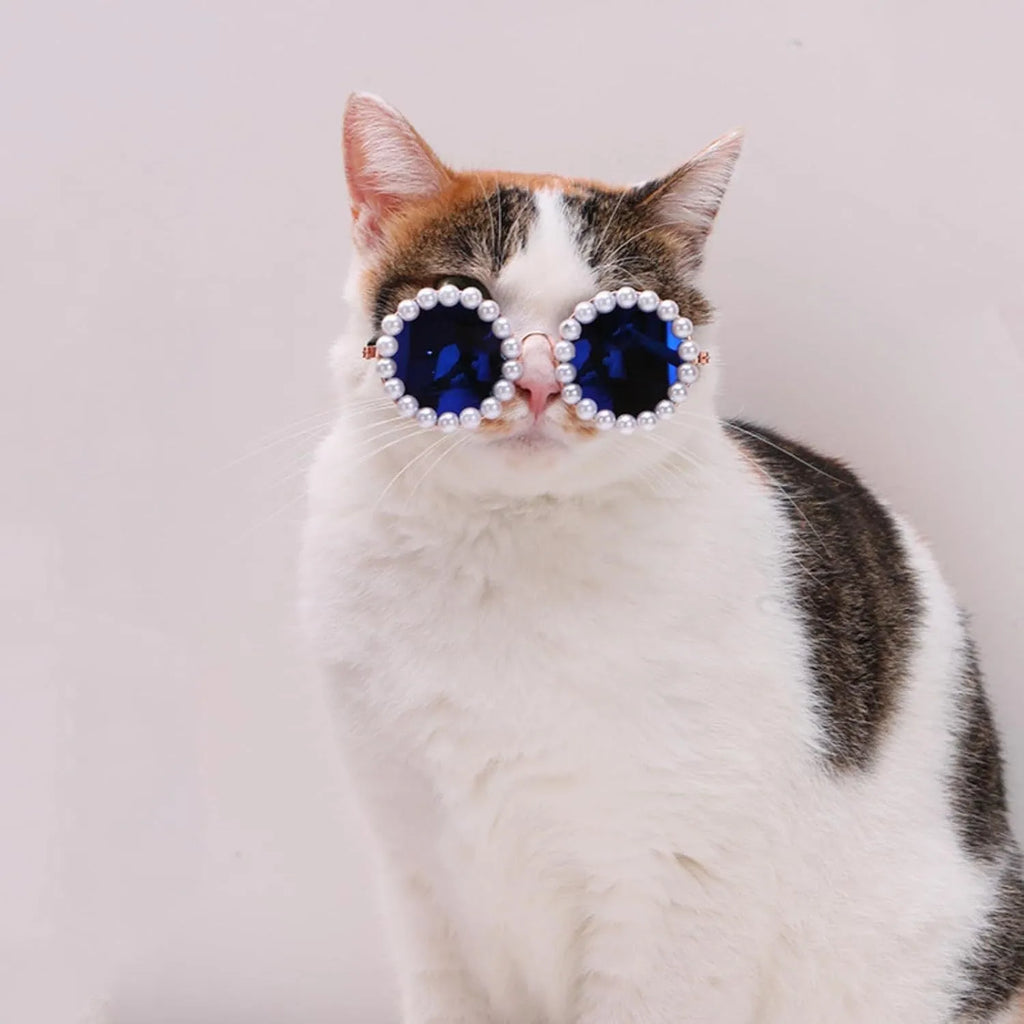 Pearl-rimmed round sunglasses for pets on cat and dog with black, blue, coffee, orange and purple colour options